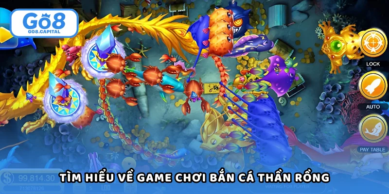 Tìm hiểu về game chơi bắn cá thần rồng từ Go8
