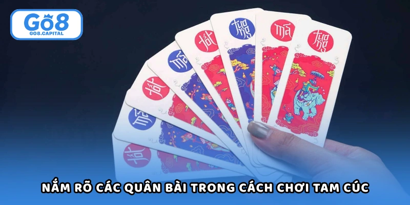 Nắm rõ các quân bài trong cách chơi tam cúc