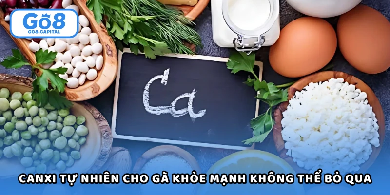 Canxi Tự Nhiên Cho Gà Khỏe Mạnh Không Thể Bỏ Qua